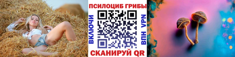 Галлюциногенные грибы Magic Shrooms  Луга 