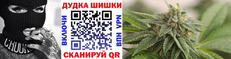 Бошки Шишки марихуана  где купить наркотик  Луга 